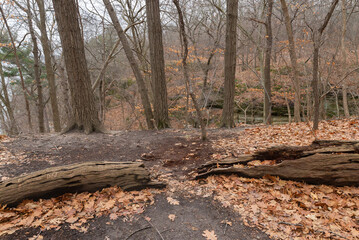 Bluff Trail.