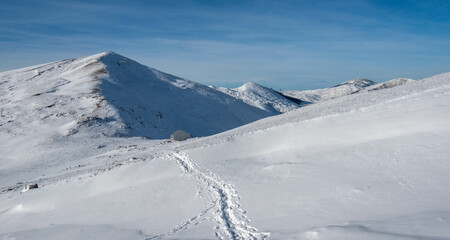 snow covered mountains