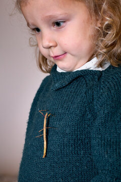 Petite fille jouant avec un phasme