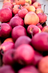 Pommes colorées, une variété de saveurs rouges en gros plan