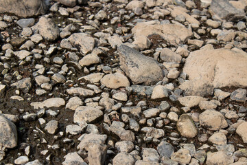 stones on the sand