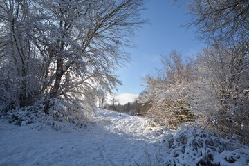 Promenade hivernale  en Creuse