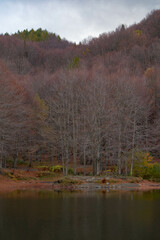 Laghetto Cavone, Lizzano in Belvedere, citt&agrave; metropolitana di Bologna, Emilia Romagna