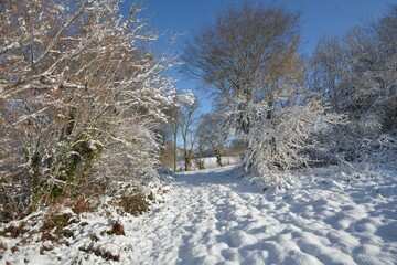Promenade hivernale  en Creuse