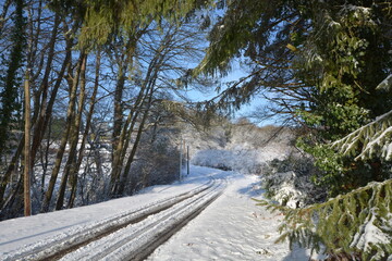 Promenade hivernale  en Creuse