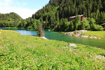 The Tanay lake is a lake in the canton of Valais in Switzerland