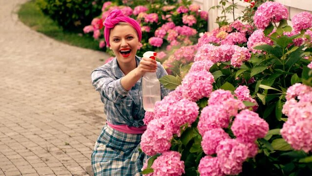 Woman watering hydrangea. Gardening ib backyard. Cheerful blond woman planting flowers in garden.