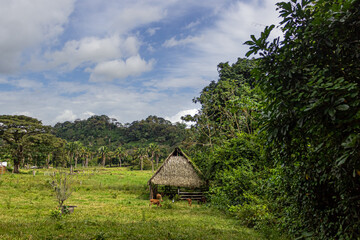 house in the forest