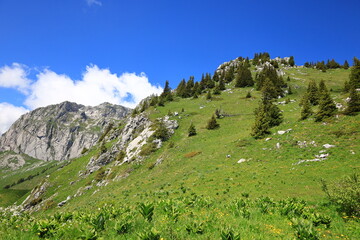 View of the Pointe d'Arvouin located on the commune La Chapelle-d'Abondance, in the French Chablais