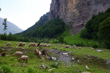 View of the Pointe d'Arvouin located on the commune La Chapelle-d'Abondance, in the French Chablais