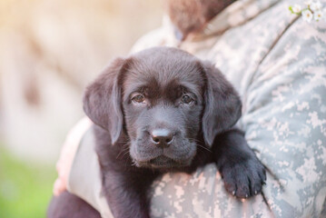 A small black puppy in the arms of a man in pixelated military clothing. Black labrador puppy.