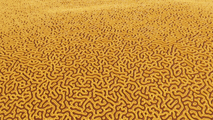 Large Brain Coral surface. Organic labyrinth pattern