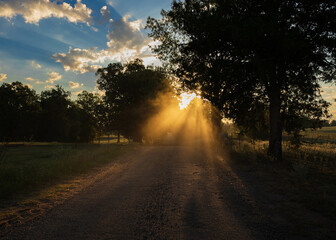sun on a country road