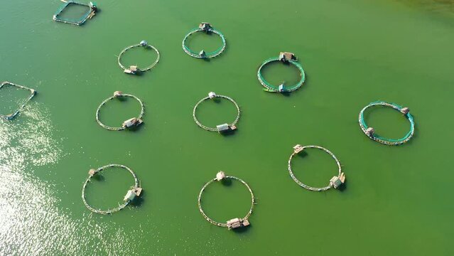 Top view of Fish ponds for bangus, milkfish. Farming aquaculture or pisciculture practices. Philippines, Luzon.