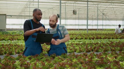 Two organic crops farmers using laptop with agricultural management software to plan harvesting and delivery for organic lettuce. Diverse team of farm workers selling bio vegetables online.