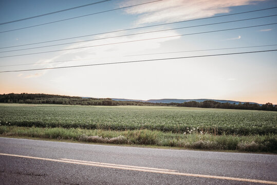 Cables over country road against sky