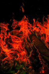 Fototapeta na wymiar Multicolored flame.Firewood burning in bonfire.Burning bonfire.magical colorful flame. Sparks and flames.fiery wallpaper. Variegated flames and colorful sparks close-up.