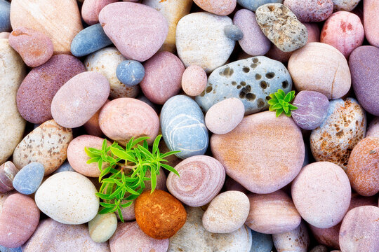 photographs of stones on the coast of Marjal del Moro. Valencia. Spain