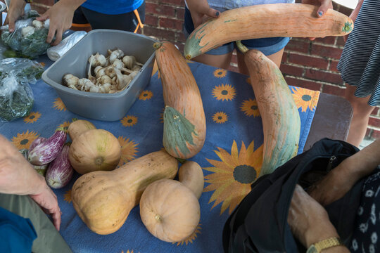 Vegetables on farmers market