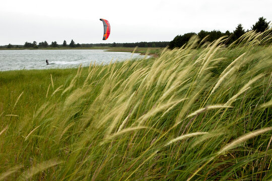 Grass blowing in the wind (motion blur) while a kiteboarder rides in the background.