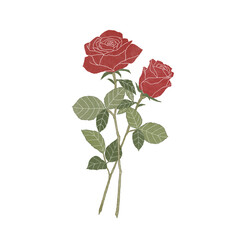 ビンテージテイストの赤いバラの花 2輪