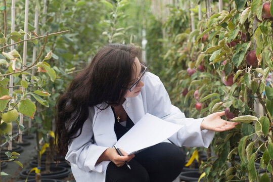 Female scientist inspecting plants at greenhouse, Freiburg im Breisgau, Freiburg im Breisgau, Germany