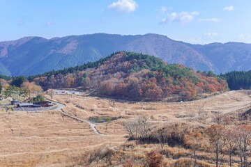 展望台から見下ろす砥峰高原の秋の情景＠兵庫