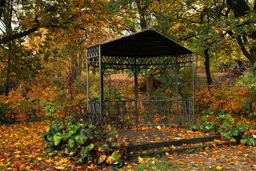 Black metal gazebo and yellowed trees in park