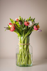 Beautiful bouquet of colorful tulips in glass vase on beige background