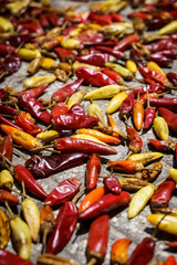 Chili pepper background. Hot red chili peppers are dried in the sun outside. Mexican cuisine, spices, food concept.