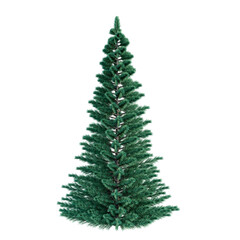 Single tree on transparent background, High quality isolated tree