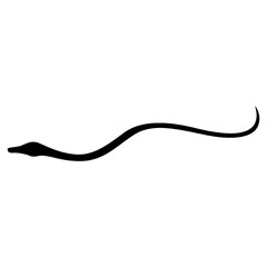 snake vector, icon, symbol, logo, clipart, isolated. vector illustration. vector illustration isolated on white background.