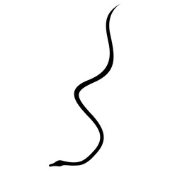snake vector, icon, symbol, logo, clipart, isolated. vector illustration. vector illustration isolated on white background.