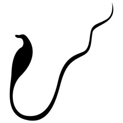 snake vector, icon, symbol, logo, clipart, isolated. vector illustration. vector illustration isolated on white background.