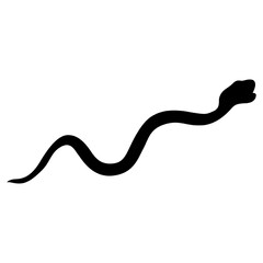 snake vector, icon, symbol, logo, clipart, isolated. vector illustration. vector illustration isolated on white background.