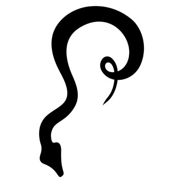 snake vector, icon, symbol, logo, clipart, isolated. vector illustration. vector illustration isolated on white background.