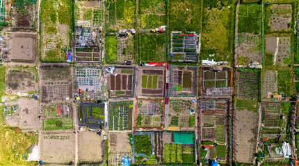 Permaculture trend result aerial view. Sustainable design and systems in farming in the city downtown. Eco-friendly and organic environments with street gardening. Tactical urbanism in the city.
