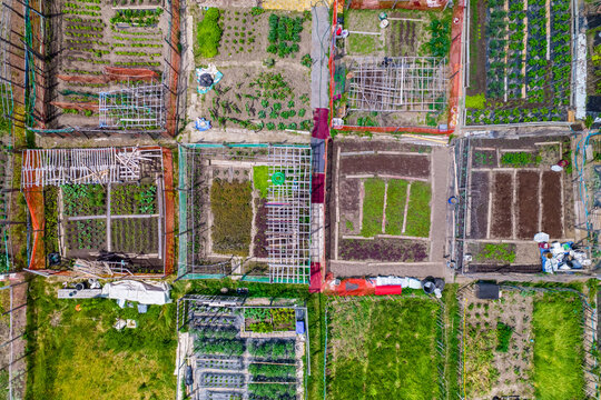 Permaculture trend result aerial view. Sustainable design and systems in farming in the city downtown. Eco-friendly and organic environments with street gardening. Tactical urbanism in the city.