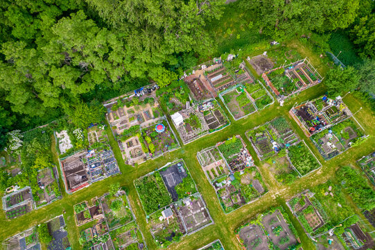 Urban gardening. City urbanized vegetable garden. Aerial view. Growing, farming vegetables in the city. Agriculture of organic hand grown food. Self sustained system of gardening reusing rainwater.