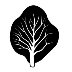 Cabbage leaf icon. PNG illustration isolated on transparent background. 