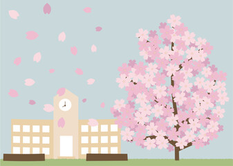 満開の桜と校舎
