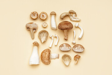 Composition with different fresh mushrooms on color background