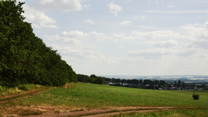 landscape in the summer