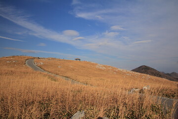 Fototapeta premium 四国カルスト カルスト台地と小麦色の草原