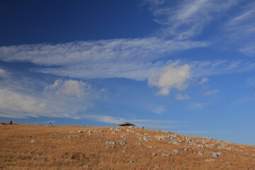 四国カルスト　カルスト台地と小麦色の草原