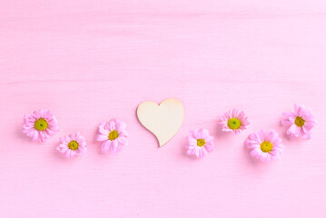 Chrysanthemum flower with heart shape on pink background, Love Valentine concept
