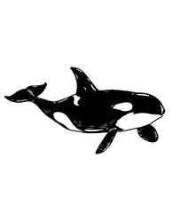 Animal on the oceans