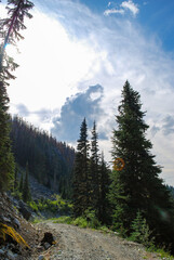 Mountain Path - Blackcomb Canada