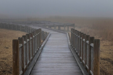 Obraz premium 霧と桟橋