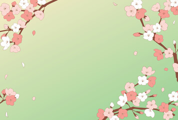 フレーム素材_桜